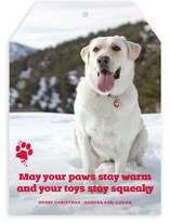 Frosty Paws Christmas Photo Cards