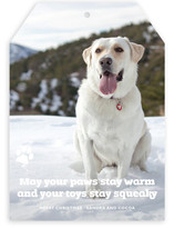 Frosty Paws Christmas Photo Cards