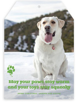 Frosty Paws Christmas Photo Cards