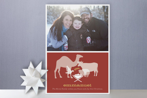 Animal Nativity Christmas Photo Cards