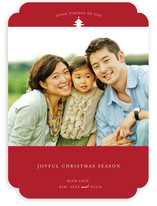 christmas bundle Christmas Photo Cards
