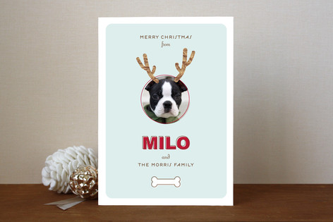 Reindog Christmas Photo Cards
