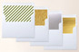 Slip-In Envelope Liners