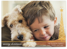 Simplified Christmas Tree Christmas Photo Cards
