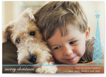 Simplified Christmas Tree Christmas Photo Cards