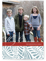 Feliz Christmas Photo Cards
