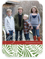 Feliz Christmas Photo Cards