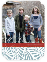 Feliz Christmas Photo Cards