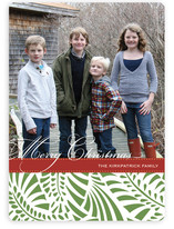 Feliz Christmas Photo Cards