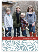Feliz Christmas Photo Cards