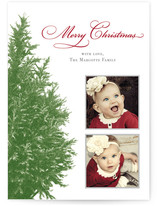 Wintery Tree Christmas Photo Cards