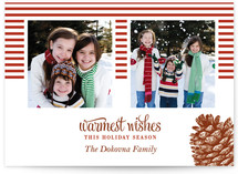 Stripes and Pine Christmas Photo Cards