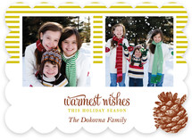 Stripes and Pine Christmas Photo Cards