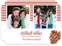 Stripes and Pine Christmas Photo Cards