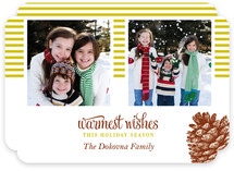 Stripes and Pine Christmas Photo Cards