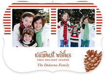 Stripes and Pine Christmas Photo Cards
