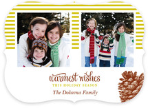 Stripes and Pine Christmas Photo Cards