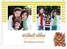 Stripes and Pine Christmas Photo Cards