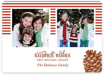 Stripes and Pine Christmas Photo Cards