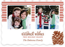 Stripes and Pine Christmas Photo Cards