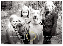Holiday Joy Christmas Photo Cards