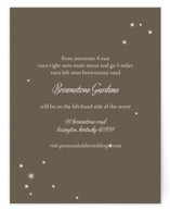 fireflies Directions Cards