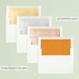 Slip-In Envelope Liners