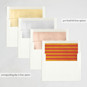 Slip-In Envelope Liners