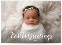 Sophisticate Landscape Easter Cards