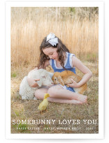 Somebunny Loves You Easter Cards