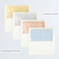 Slip-In Envelope Liners