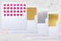 Slip-In Envelope Liners