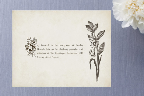 Story Book Enclosure Cards