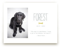 Doggie Heaven Art Prints