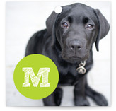Red Paw Gift Tags
