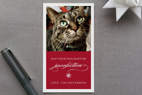 Purrfection Gift Tags