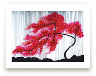 Cherry Blossom Tree Art Prints