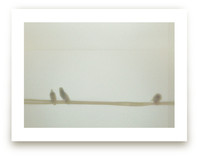 Lovebirds + 1 Art Prints