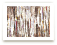 Serene Forest Art Prints