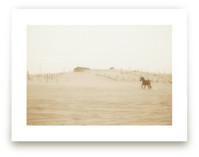Wild and Free Art Prints