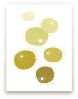 Urchins Art Prints