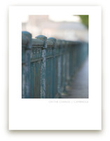 On the Charles | Cambridge Art Prints