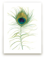 Ruffled Feather Art Prints