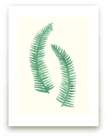 Painted Ferns Art Prints