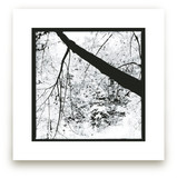 Tree Art Prints