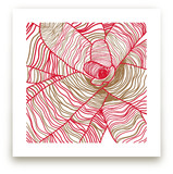 Variegated Plant Art Prints