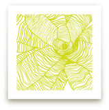 Variegated Plant Art Prints