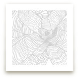Variegated Plant Art Prints
