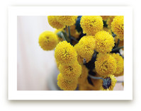 Golden Mums Art Prints