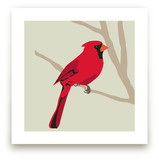 Cardinal Art Prints